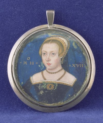 Ritratto di una signora, possibilmente Lady Jane Grey da Lievine Teerlink